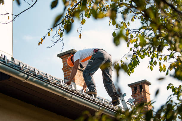 Best Local Roofing Companies  in Eupora, MS