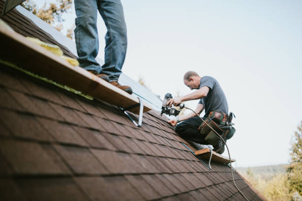 Best Metal Roofing Contractor  in Eupora, MS